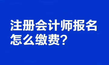 注冊會計師報名怎么繳費？