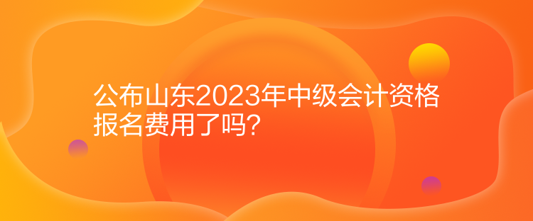 公布山東2023年中級(jí)會(huì)計(jì)資格報(bào)名費(fèi)用了嗎？