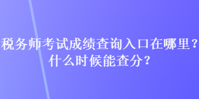 稅務(wù)師考試成績查詢?nèi)肟谠谀睦?？什么時候能查分？