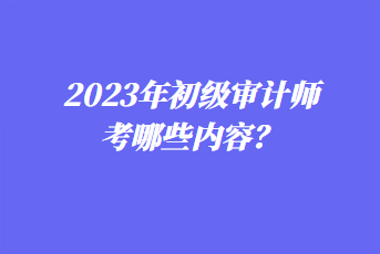 2023年初級(jí)審計(jì)師考哪些內(nèi)容？