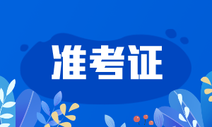 準(zhǔn)考證2