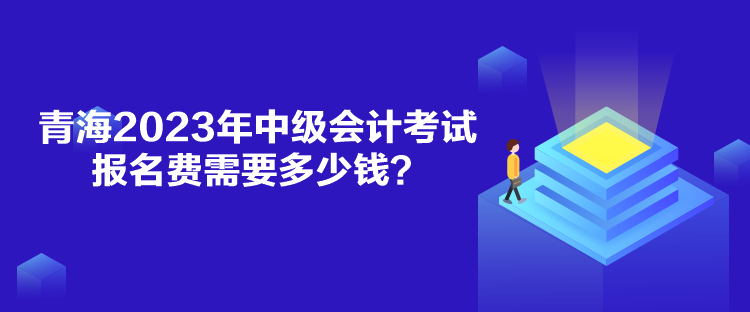 青海2023年中級(jí)會(huì)計(jì)考試報(bào)名費(fèi)需要多少錢？