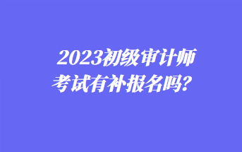 2023年初級審計(jì)師考試有補(bǔ)報(bào)名嗎？