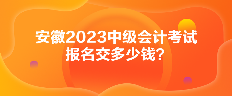 安徽2023中級會計考試報名交多少錢？