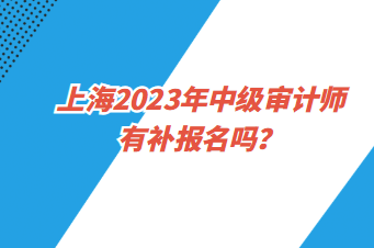 上海2023年中級審計(jì)師有補(bǔ)報(bào)名嗎？