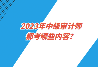 2023年中級審計師都考哪些內容？