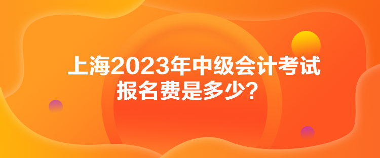 上海2023年中級(jí)會(huì)計(jì)考試報(bào)名費(fèi)是多少？