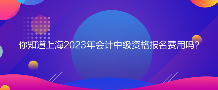 你知道上海2023年會計中級資格報名費(fèi)用嗎？