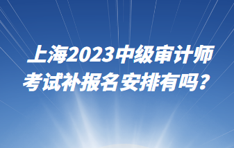 上海2023中級(jí)審計(jì)師考試補(bǔ)報(bào)名安排有嗎？