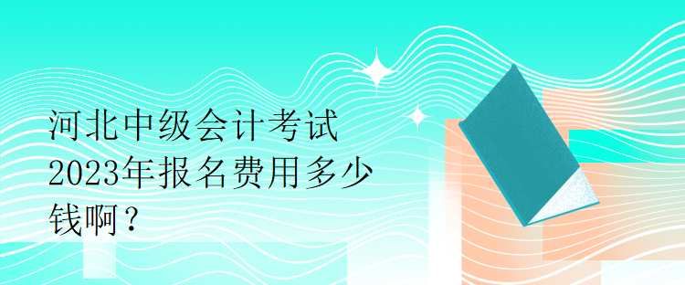 河北中級會計考試2023年報名費用多少錢啊？