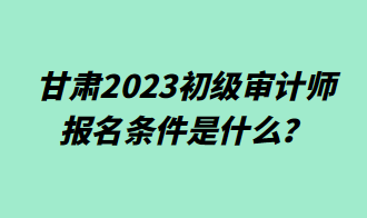 甘肅2023初級審計師報名條件是什么？