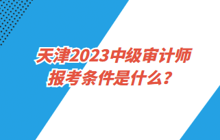 天津2023中級審計師報考條件是什么？