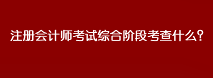 注冊會(huì)計(jì)師考試綜合階段考查什么？