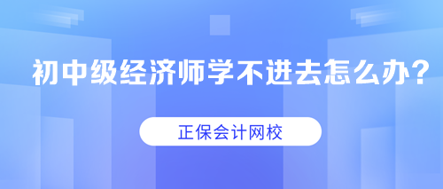 求助：初中級經(jīng)濟師學(xué)不進(jìn)去怎么辦？