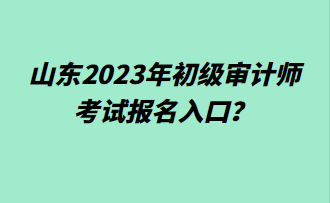 山東2023年初級審計師考試報名入口？