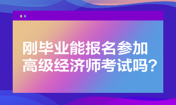 剛畢業(yè)能報(bào)名參加高級(jí)經(jīng)濟(jì)師考試嗎？