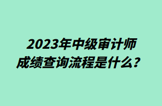 2023年中級(jí)審計(jì)師成績(jī)查詢流程是什么？