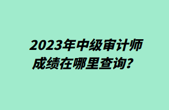 2023年中級審計師成績在哪里查詢？