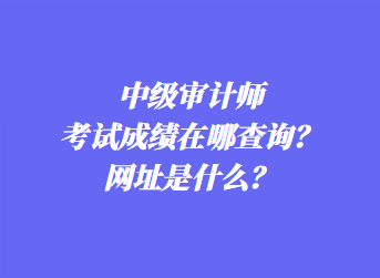 中級審計(jì)師考試成績在哪查詢？網(wǎng)址是什么？