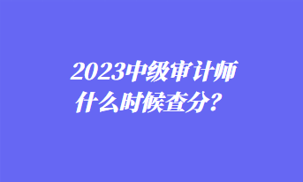 2023中級審計師什么時候查分？