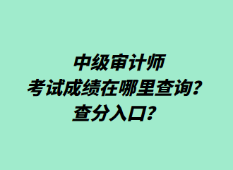 中級(jí)審計(jì)師考試成績(jī)?cè)谀睦锊樵?xún)？查分入口？