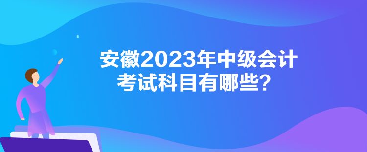 安徽2023年中級(jí)會(huì)計(jì)考試科目有哪些？