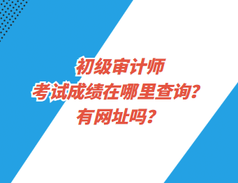 初級(jí)審計(jì)師考試成績(jī)?cè)谀睦锊樵?？有網(wǎng)址嗎？