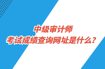 中級審計(jì)師考試成績查詢網(wǎng)址是什么？