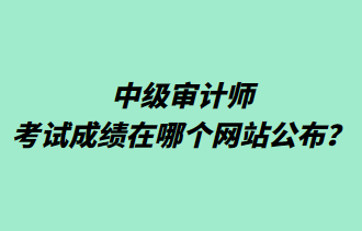 中級審計師考試成績在哪個網(wǎng)站公布？