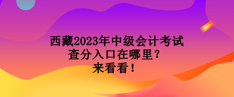 西藏2023年中級(jí)會(huì)計(jì)考試查分入口在哪里？來(lái)看看！