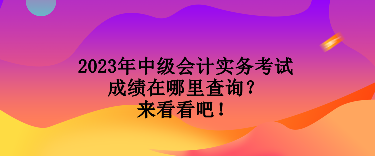 2023年中級(jí)會(huì)計(jì)實(shí)務(wù)考試成績(jī)?cè)谀睦锊樵?？?lái)看看吧！