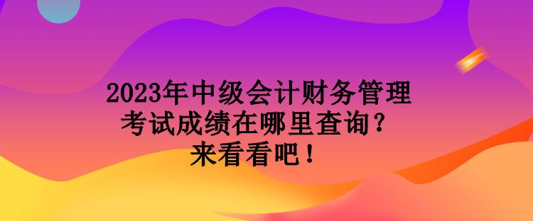 2023年中級(jí)會(huì)計(jì)財(cái)務(wù)管理考試成績(jī)?cè)谀睦锊樵?xún)？來(lái)看看吧！