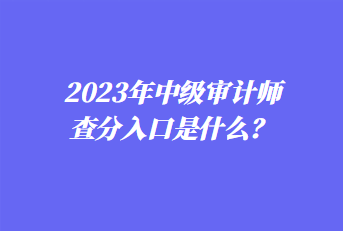 2023年中級審計師查分入口是什么？