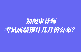 初級(jí)審計(jì)師考試成績預(yù)計(jì)幾月份公布？