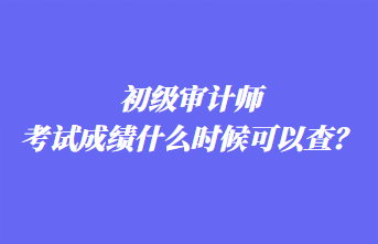 初級審計師考試成績什么時候可以查？