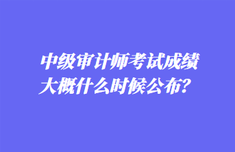 中級審計師考試成績大概什么時候公布？