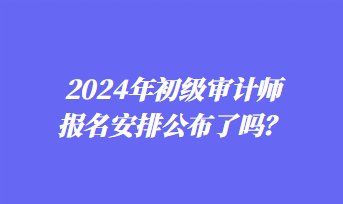 2024年初級(jí)審計(jì)師報(bào)名安排公布了嗎？