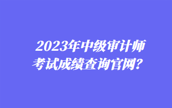 2023年中級(jí)審計(jì)師考試成績(jī)查詢(xún)官網(wǎng)？