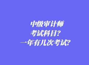 中級(jí)審計(jì)師考試科目？一年有幾次考試？