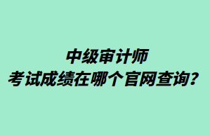 中級(jí)審計(jì)師考試成績(jī)?cè)谀膫€(gè)官網(wǎng)查詢？