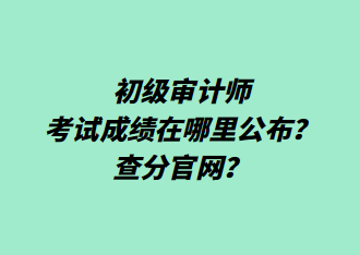 初級(jí)審計(jì)師考試成績(jī)?cè)谀睦锕?？查分官網(wǎng)？