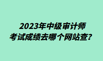 2023年中級審計師考試成績?nèi)ツ膫€網(wǎng)站查？