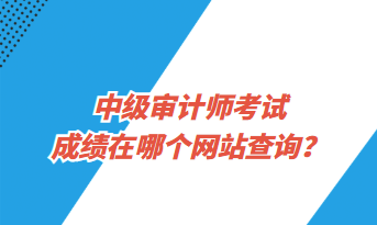 中級(jí)審計(jì)師考試成績(jī)?cè)谀膫€(gè)網(wǎng)站查詢？