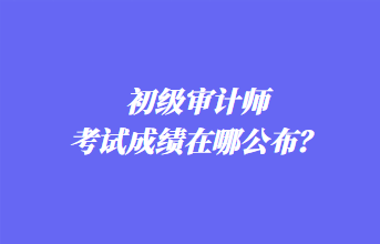 初級(jí)審計(jì)師考試成績在哪公布？