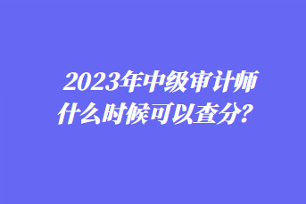 2023年中級(jí)審計(jì)師什么時(shí)候可以查分？