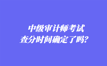 中級審計(jì)師考試查分時(shí)間確定了嗎？