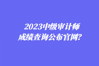 2023中級(jí)審計(jì)師成績(jī)查詢公布官網(wǎng)？