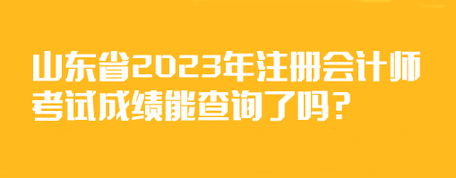 山東省2023年注冊(cè)會(huì)計(jì)師考試成績(jī)能查詢了嗎？