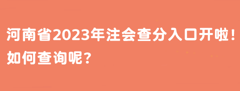 河南省2023年注會查分入口開啦！如何查詢呢？