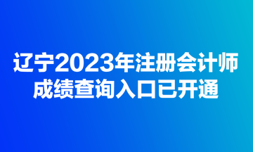 遼寧2023年注冊(cè)會(huì)計(jì)師成績查詢?nèi)肟谝验_通